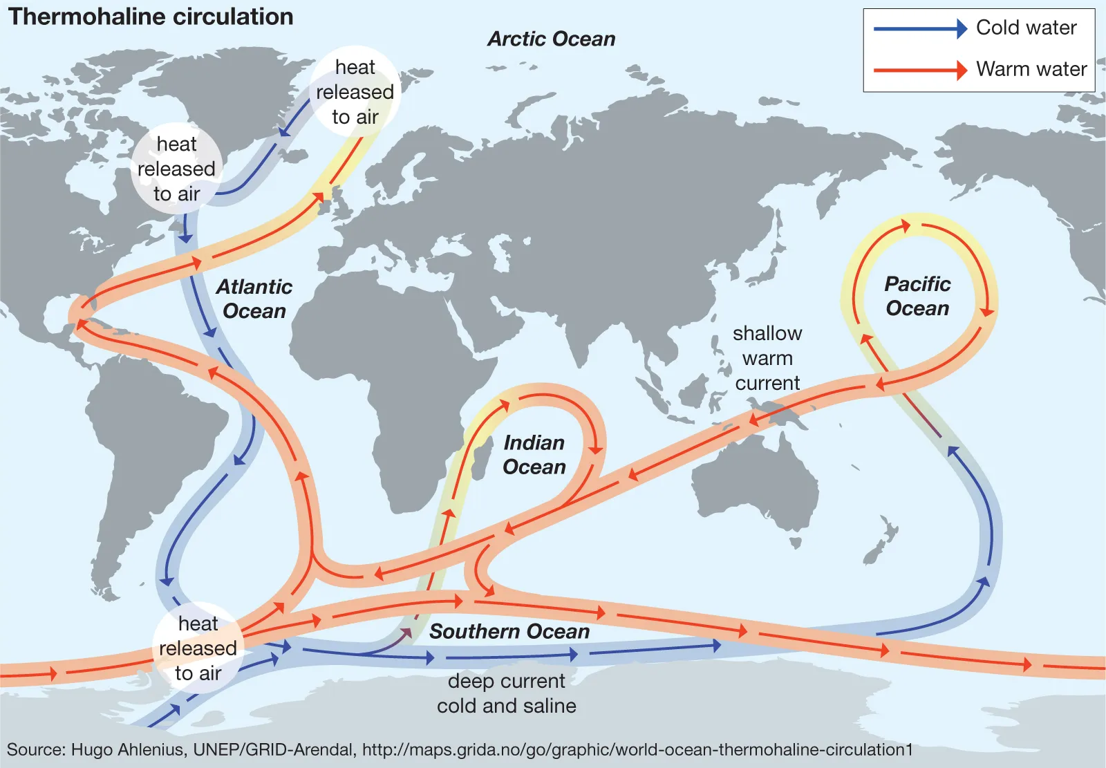 Thermohaline-circulation-transports-water-oceans-heat-process.webp