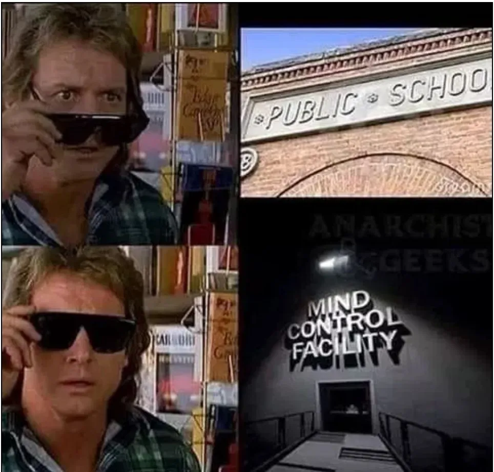 They Live Schools.webp