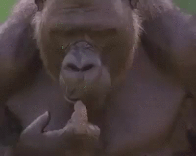 thinking.gif