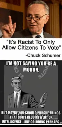 thumb_its-racist-to-only-allow-citizens-to-vote-chuck-schumer-32799239.webp