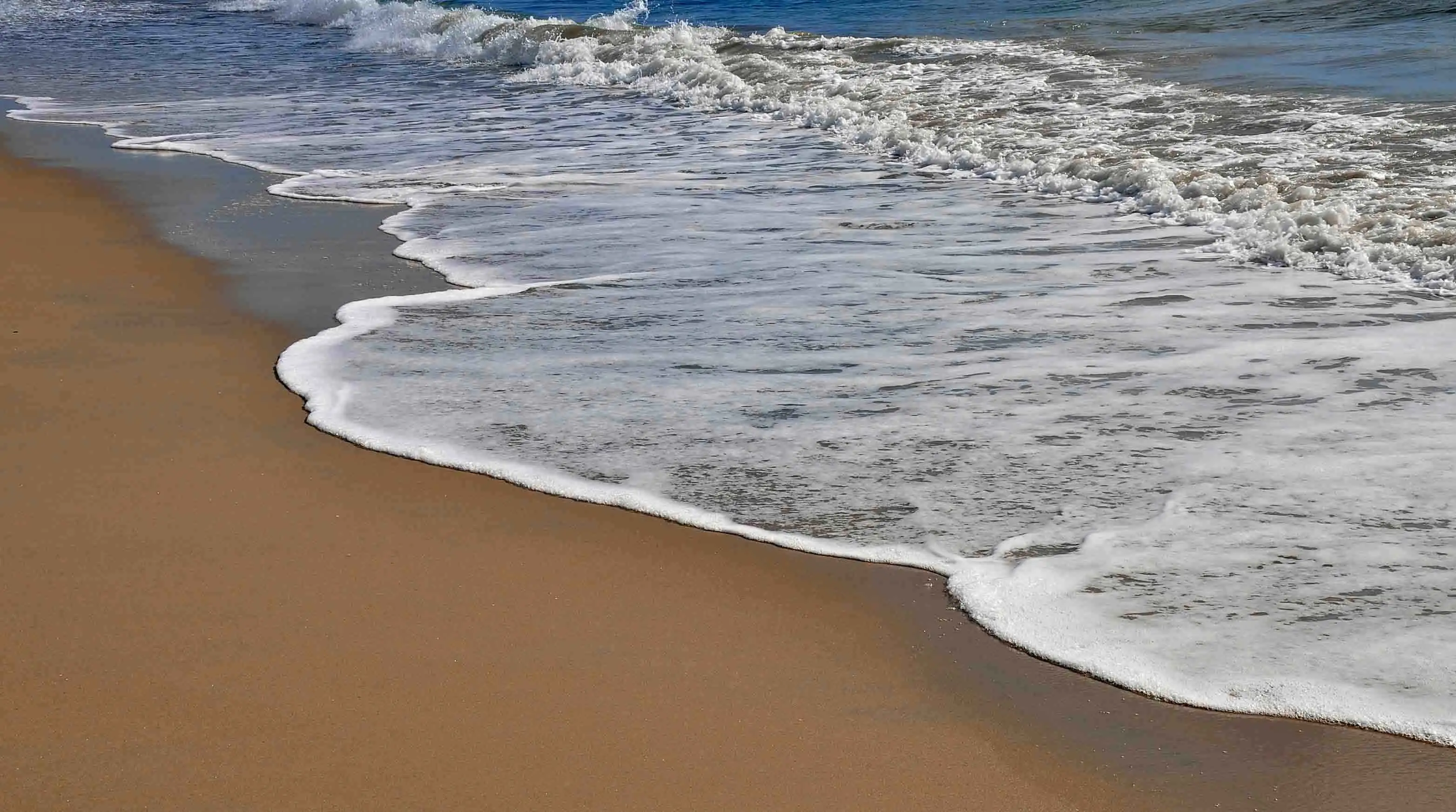 Tide_web.webp