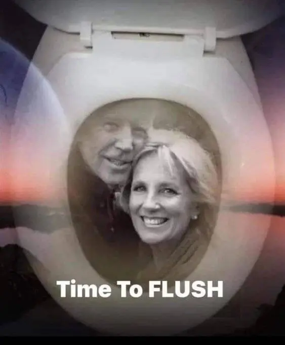 time to flush.webp