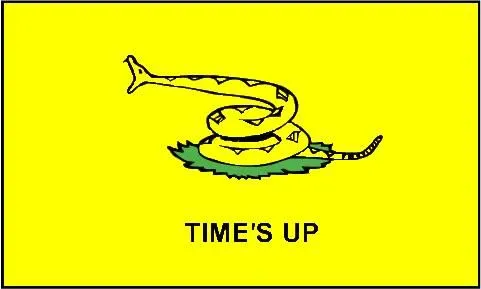 times_up_flag_z.webp