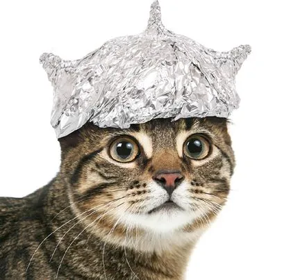 tinfoilhatday-3.webp