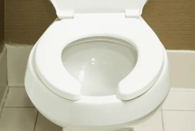 toiletseat.webp