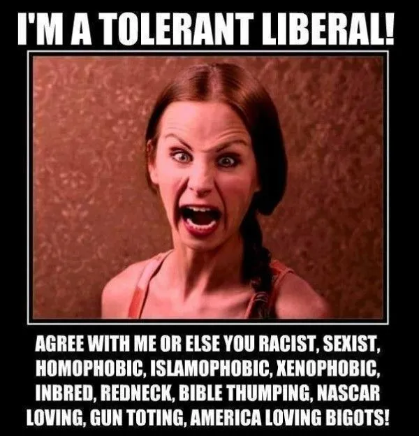 tolerant-liberal-600x624.webp