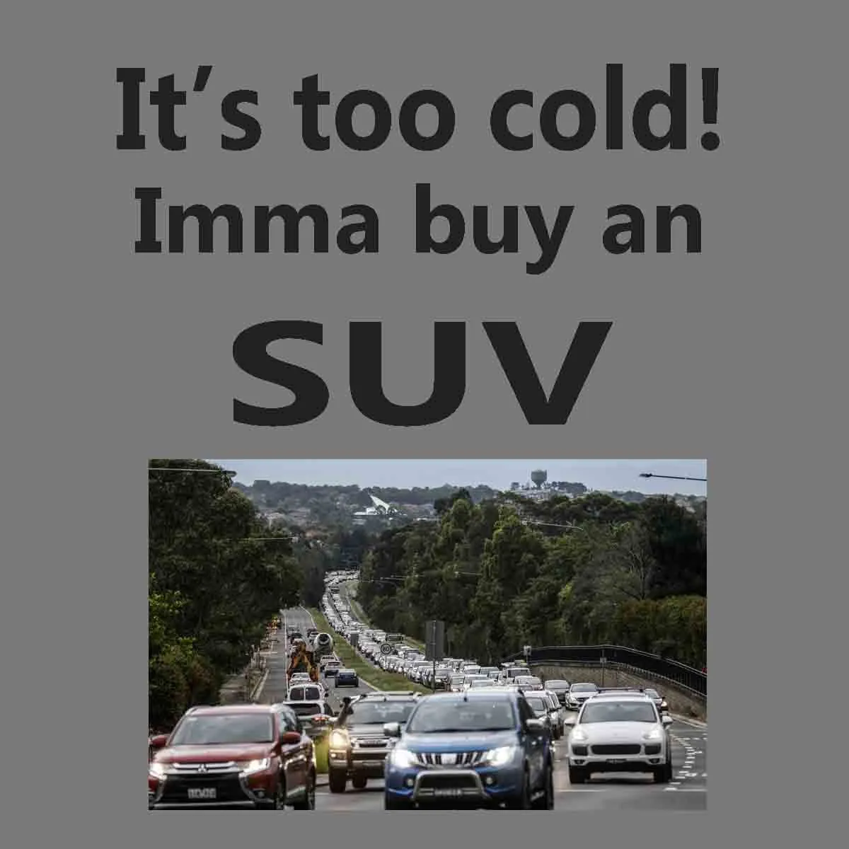 too cold.webp