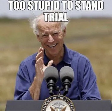 too stupid to stand trial (2).webp
