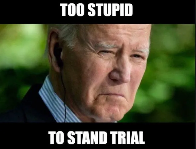 too stupid to stand trial.webp