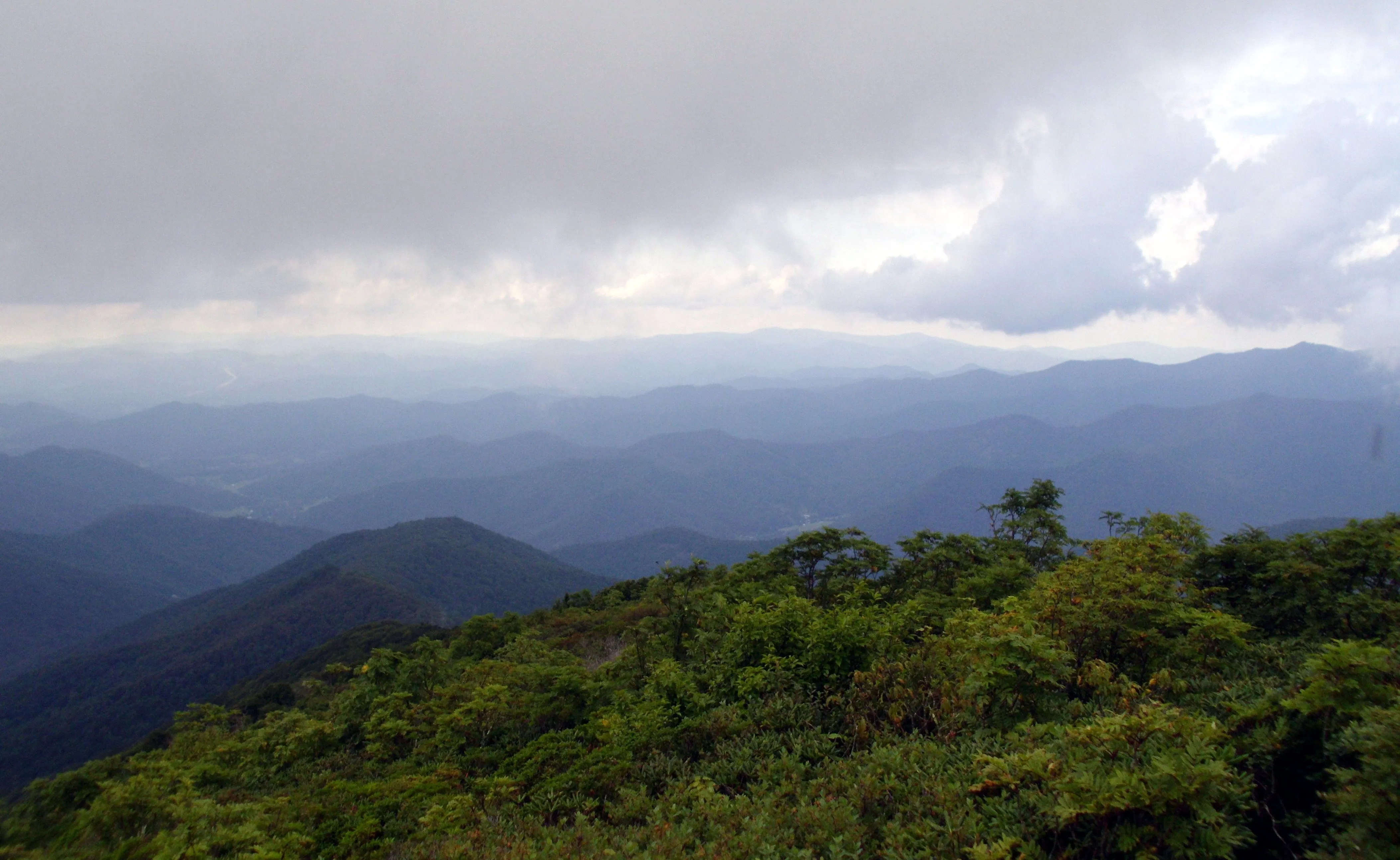 top o the whirled.webp