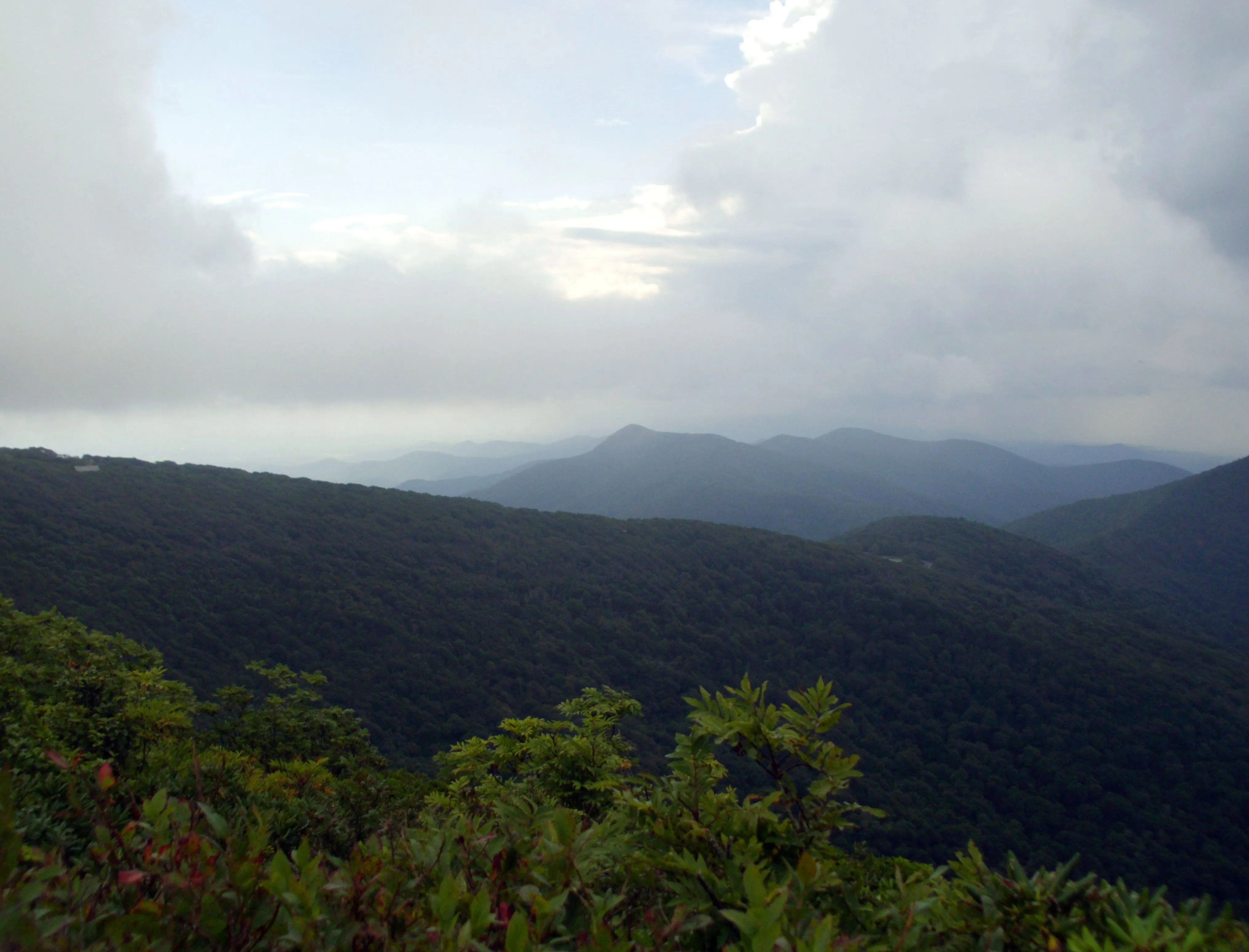 toppa da whirled 2.webp