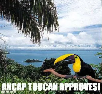 ToucanApproves.webp