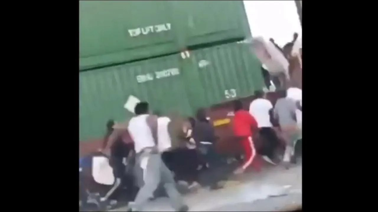 trainlootersaredemocratcriminals.webp