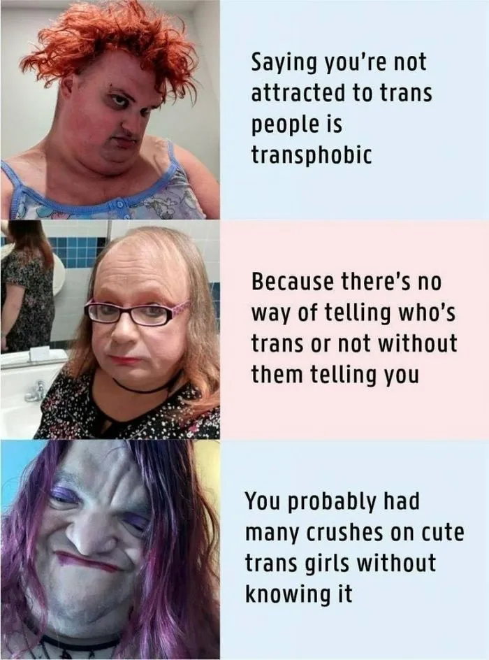 tranny beauts.webp