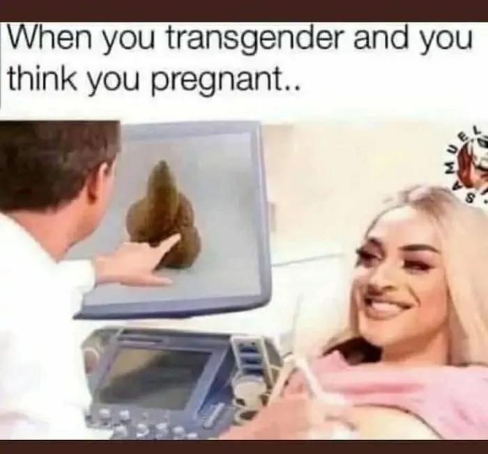 tranny preg.webp