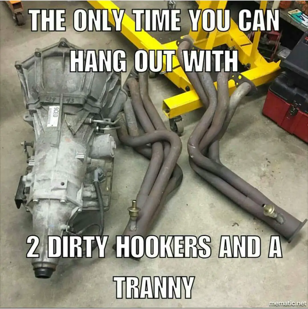 tranny.webp