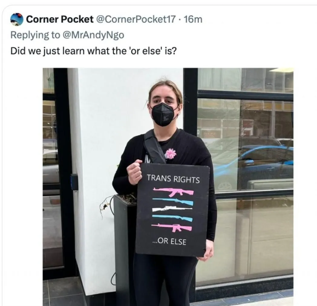 TRANS RIGHTS OR ELSE.webp