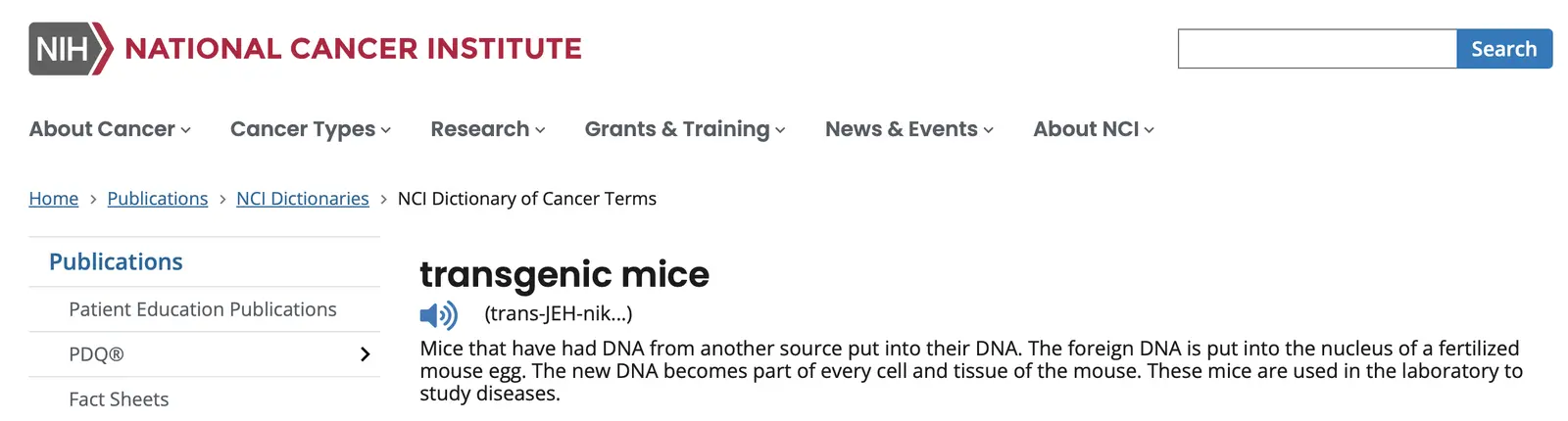 transgenic mice 2.webp