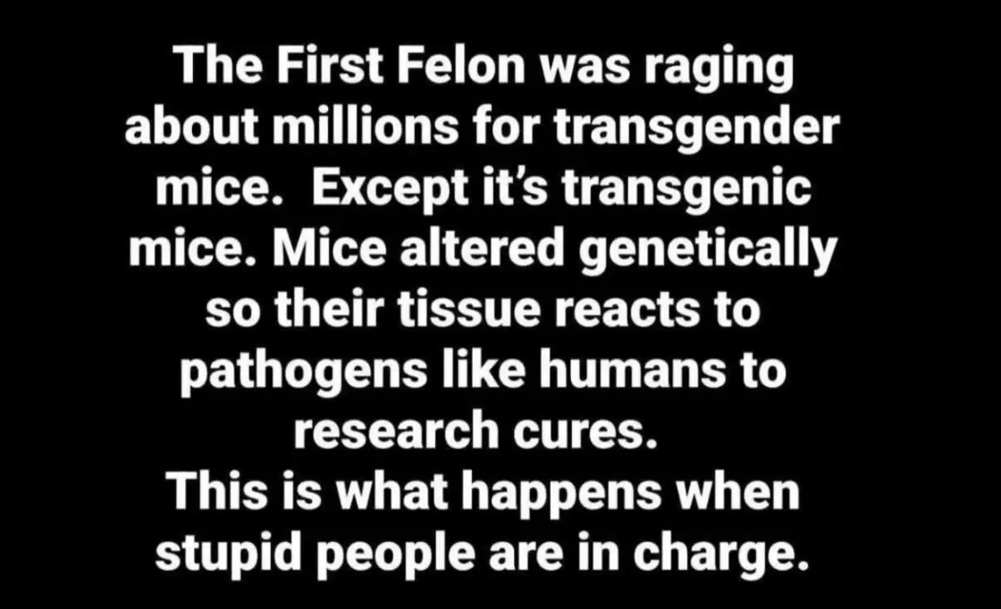 transgenic Mice.webp