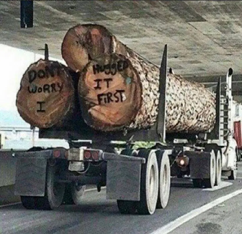 tree hugger.webp