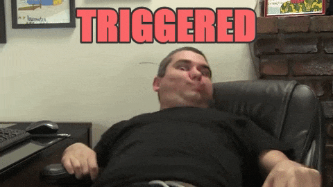 triggered-animated-gif-3.gif