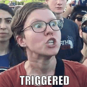 triggered-meme-gif-3.gif