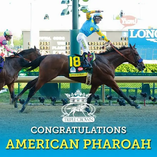 Triple Crown winner.....webp
