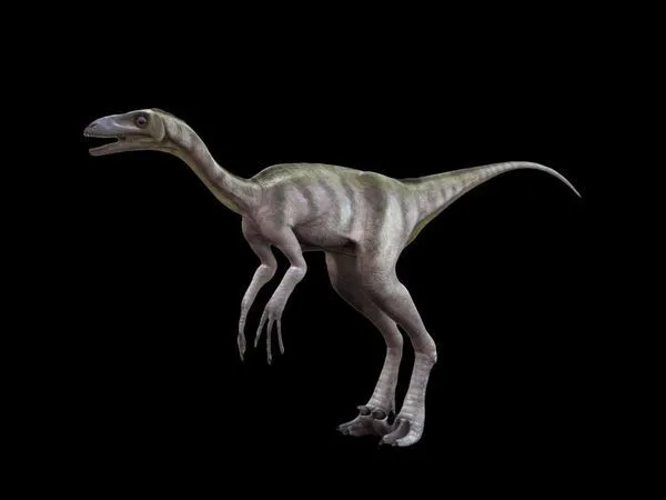 troodon_789_600x450.webp