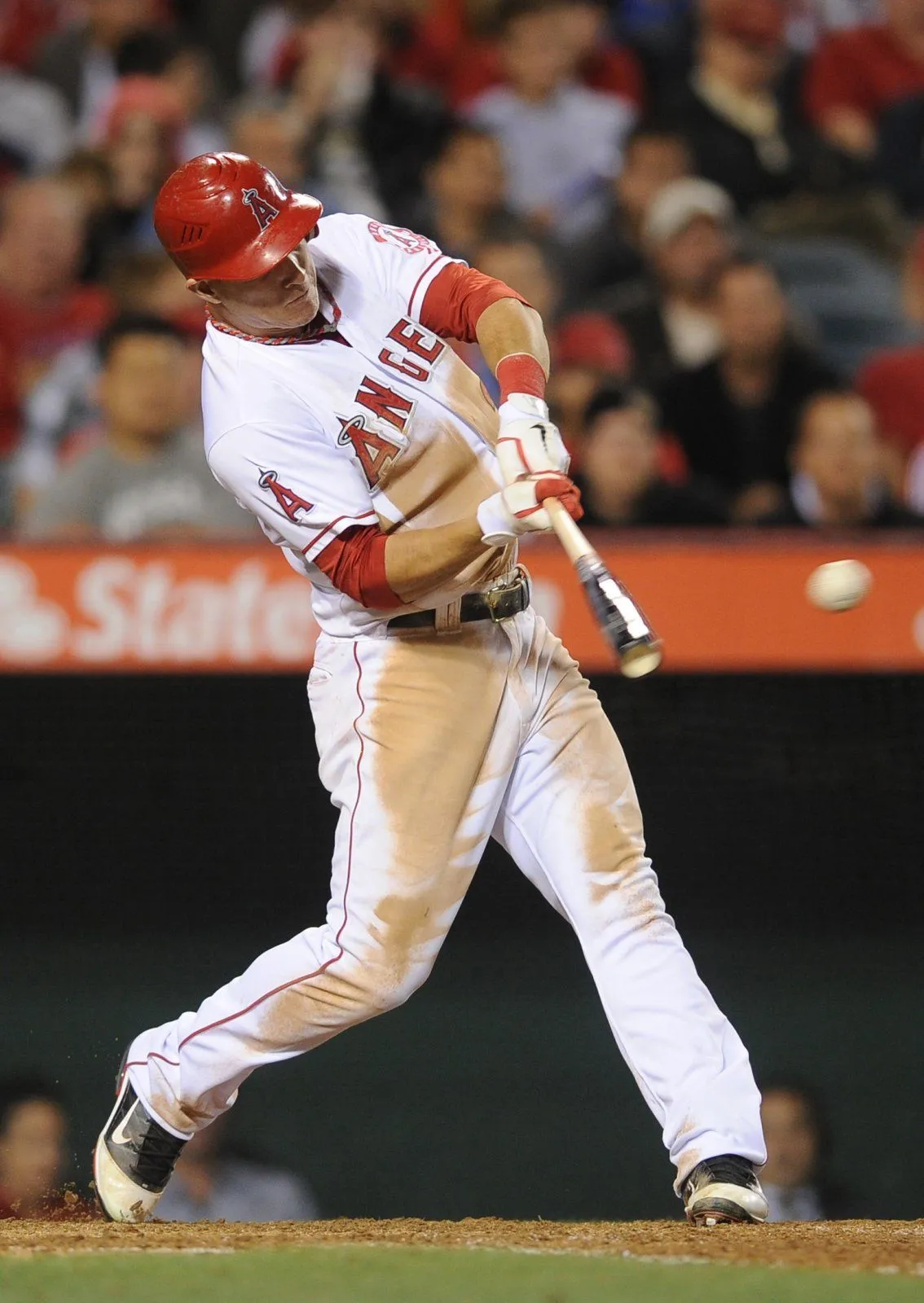 TROUT.webp