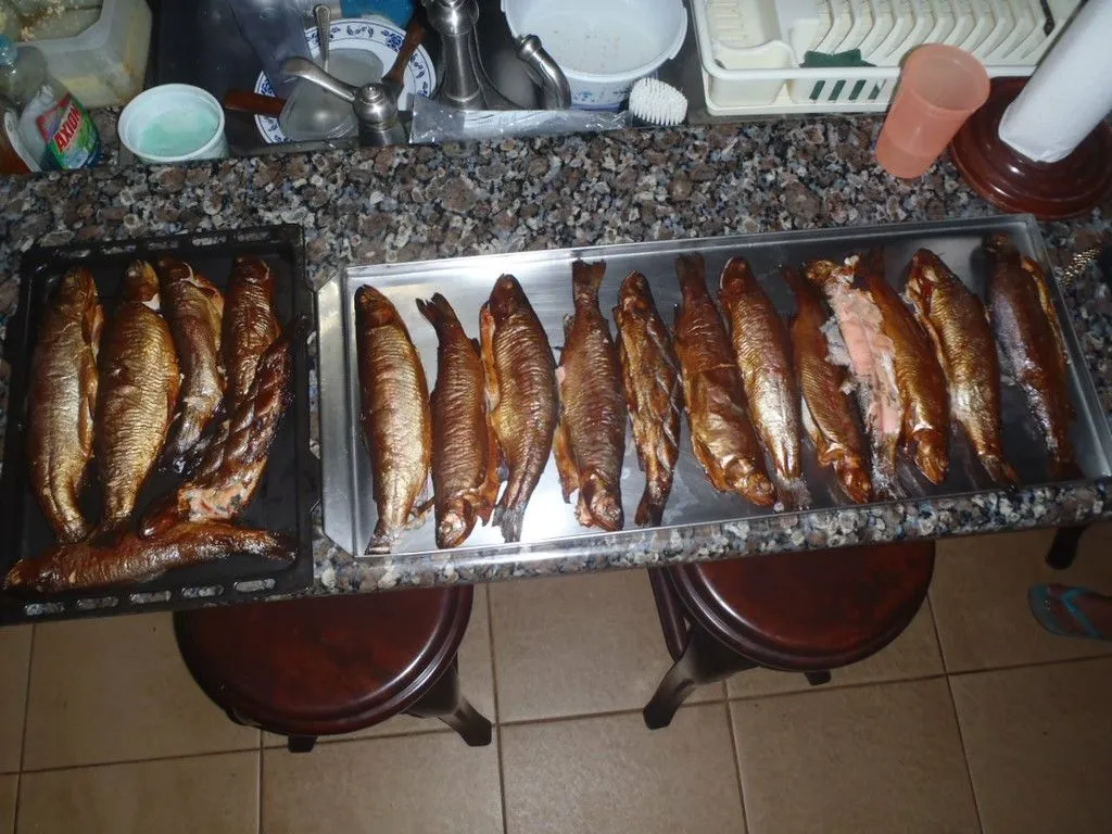 trout.webp