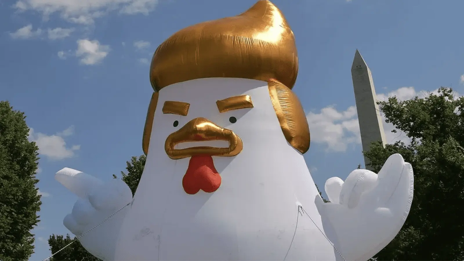 Trump chicken.webp