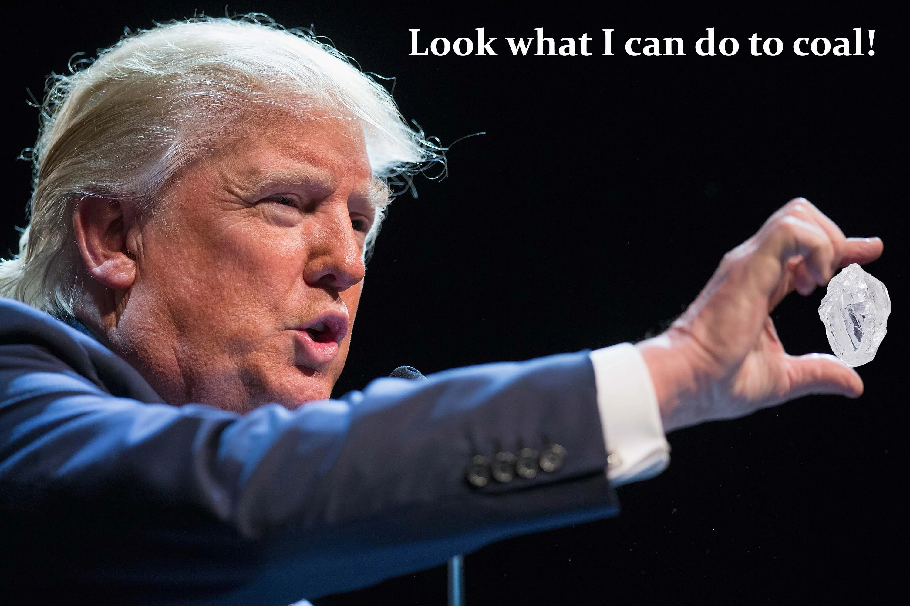 trump coal.webp