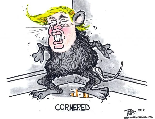 trump cornered.jpeg