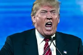 trump crazy.webp