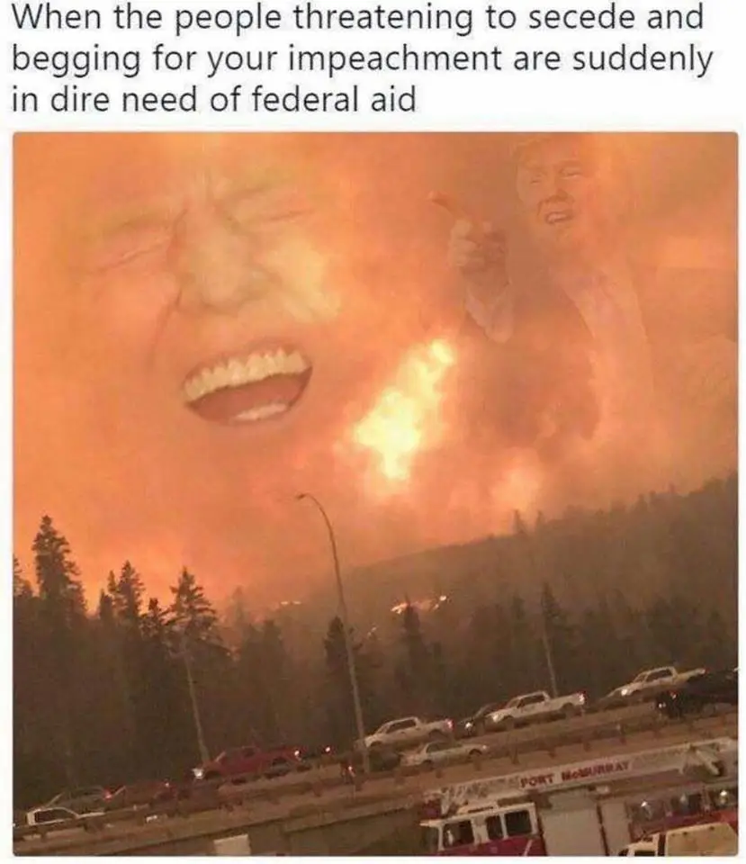 trump dire need.webp