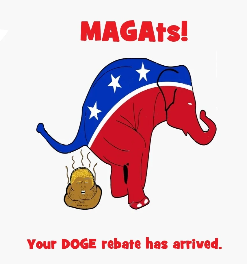 Trump doge rebate.webp