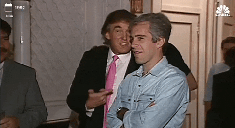 trump epstein 4.55.gif