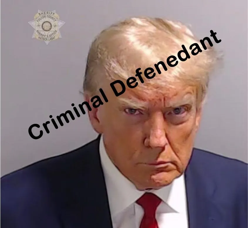 Trump Georgia Mug Shot too funny defendant.webp