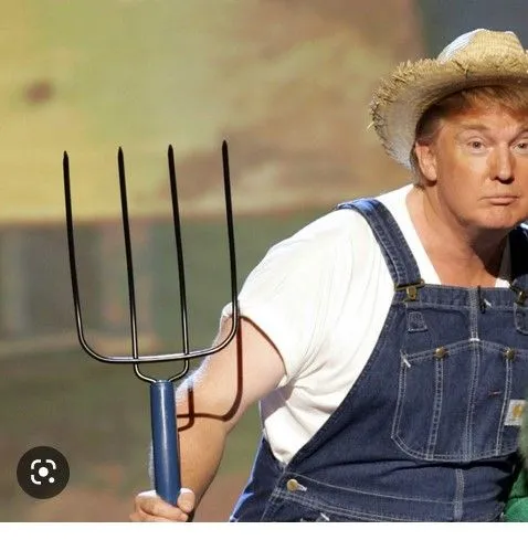 trump hillbilly.webp