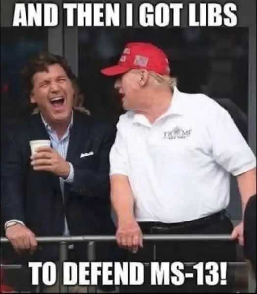Trump MS13.webp