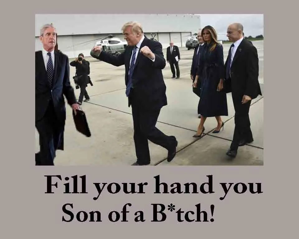 Trump mueller.webp