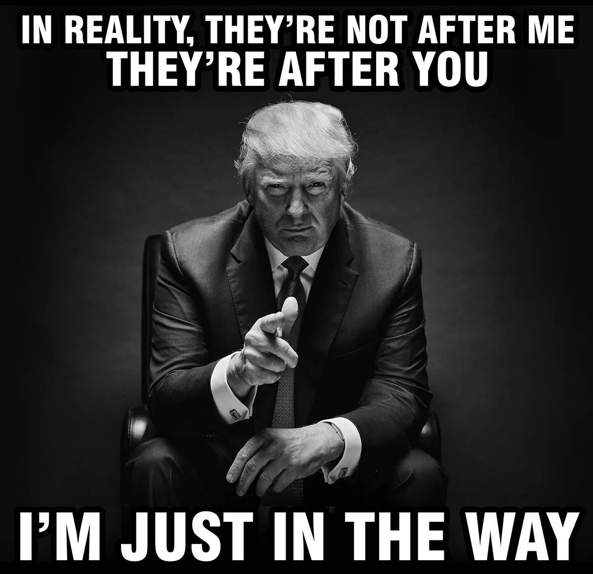 Trump - not after me.webp