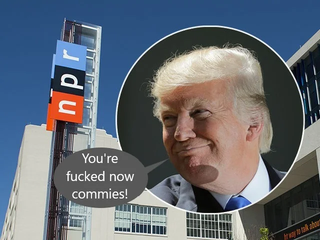 trump npr.webp