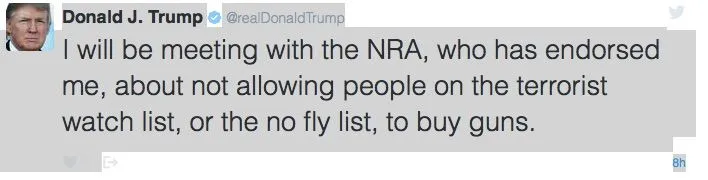 TRUMP NRA.webp