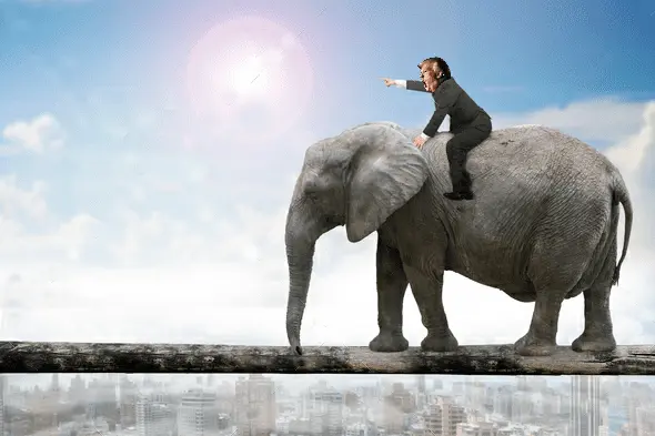 trump on elephant.webp