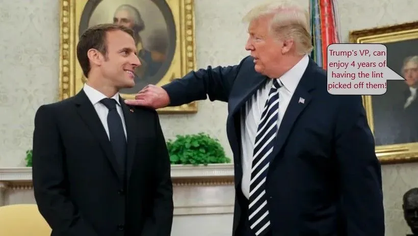 trump picks lint.webp