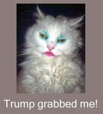 trump pussy1.webp