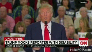 Trump retard.gif