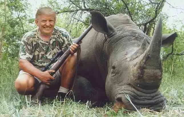trump rino.webp