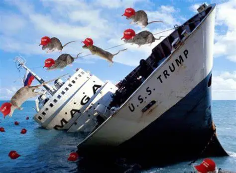 trump ship rats jumping.webp